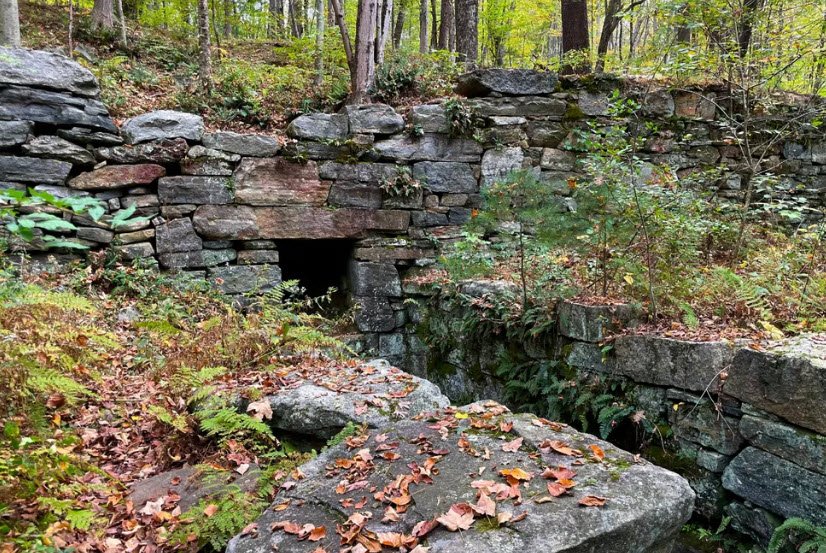 Gay City State Park, Connecticut, USA